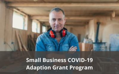 Small business COVID-19 adaption grants