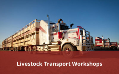 Livestock Transport Workshops – Goondiwindi