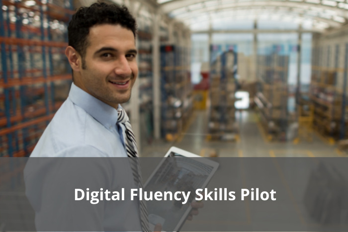 Digital Fluency Skills Pilot