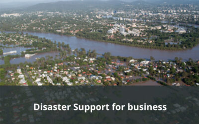 Natural disaster support for business